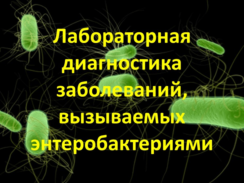 Лабораторная диагностика  заболеваний, вызываемых энтеробактериями